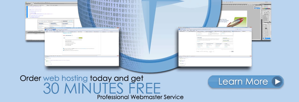 30 Mins Free Professionl WebMaster Service